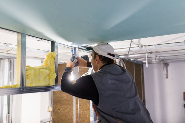 Best Batt and Roll Insulation  in London, CA