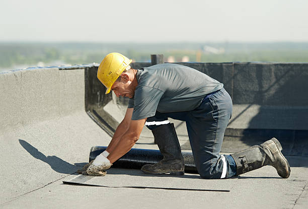 Best Attic Insulation Installation  in London, CA